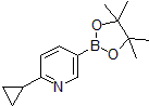 Picture of 2-Cyclopropylpyridine-5-boronic acid pinacol ester, 97%