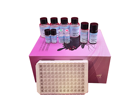 Picture of CLIA Kit for C-Peptide (CP) Rat