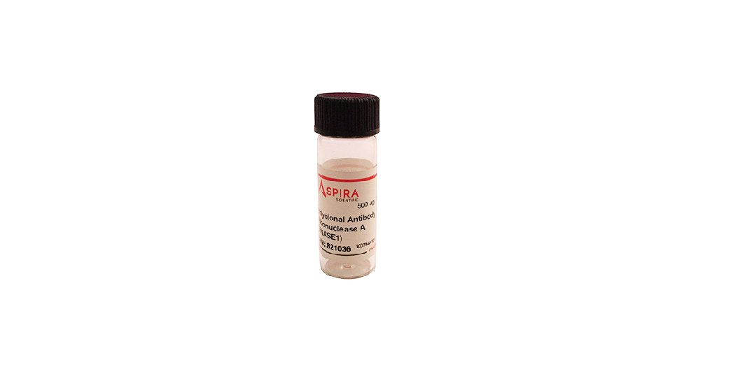 Picture of Polyclonal Antibody to 11-Hydroxyprogesterone (11-OHP) General